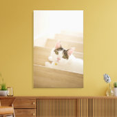 Katze auf Treppen Leinwanddruck (Insitu (Wohnzimmer))