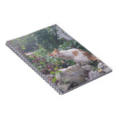 Katze auf Trümmern Notizblock (Rechte Seite)