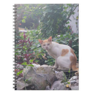 Katze auf Trümmern Notizblock