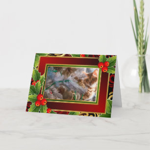 Katze auf Weihnachten - Feiertags-Hintergrund