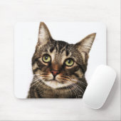 Katze auf weißem Hintergrund 2 Mousepad (Mit Mouse)
