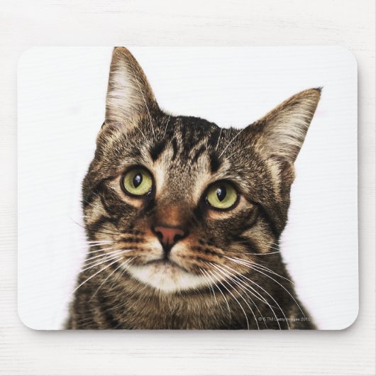 Katze auf weißem Hintergrund 2 Mousepad (Vorne)