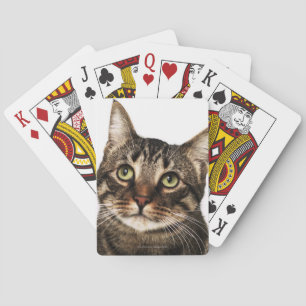 Katze auf weißem Hintergrund 2 Spielkarten