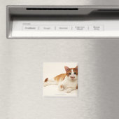 Katze auf weißem Hintergrund Magnet (In Situ (Geschirrspüler))