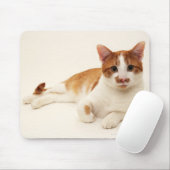 Katze auf weißem Hintergrund Mousepad (Mit Mouse)