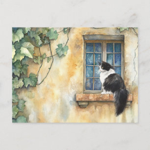Katze auf Windows - Postkarte