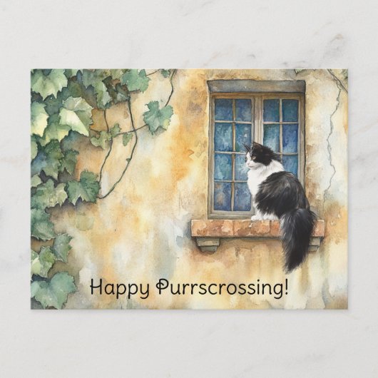 Katze auf Windows Postkreuz - Postkarte (Vorderseite)