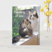 Katze auf Windowsillkarte Karte (Gelbe Blume)