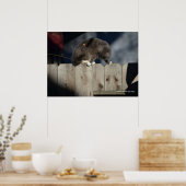 Katze auf Zaun (10) Plakat (Küche)