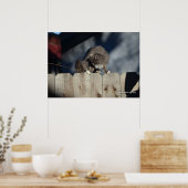 Katze auf Zaun (11) Plakat (Küche)
