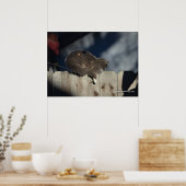 Katze auf Zaun (13) Plakat (Küche)