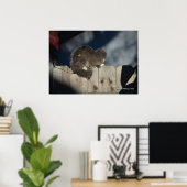 Katze auf Zaun (15) Plakat (Heimbüro)