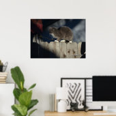 Katze auf Zaun (19) Plakat (Heimbüro)