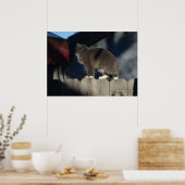Katze auf Zaun (20) Plakat (Küche)