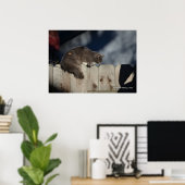 Katze auf Zaun (2) Plakat (Heimbüro)