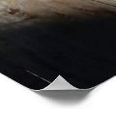 Katze auf Zaun (6) Plakat (Ecke)