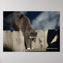 Katze auf Zaun (8) Plakat