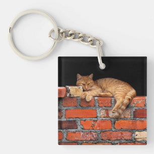 Katze auf Ziegelmauer Schlüsselanhänger