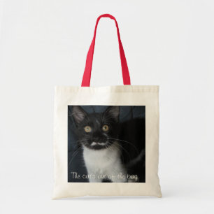 Katze aus der Tasche heraus