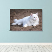 Katze aus weißer türkischer Angora auf braunem Hin Leinwanddruck (Insitu (Holzboden))