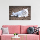 Katze aus weißer türkischer Angora auf braunem Hin Leinwanddruck (Insitu (Wohnzimmer))