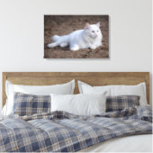 Katze aus weißer türkischer Angora auf braunem Hin Leinwanddruck (Insitu (Schlafzimmer))