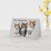 Katze außerhalb der Box-Grußkarte Karte (Gelbe Blume)