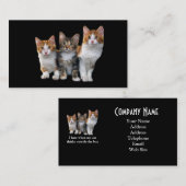 Katze außerhalb der Kasten-Visitenkarte Visitenkarte (Vorne/Hinten)