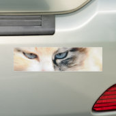 Katze Autoaufkleber (Auf Auto)