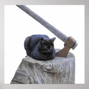 Katze, Axt und Leben Poster