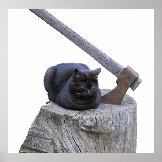 Katze, Axt und Leben Poster (Vorne)