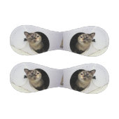 Katze Baseball (Paneele)