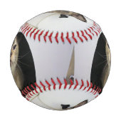 Katze Baseball (Vorderseite)