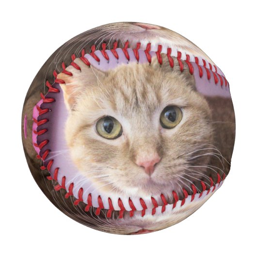 Katze Baseball (Vorderseite Links)