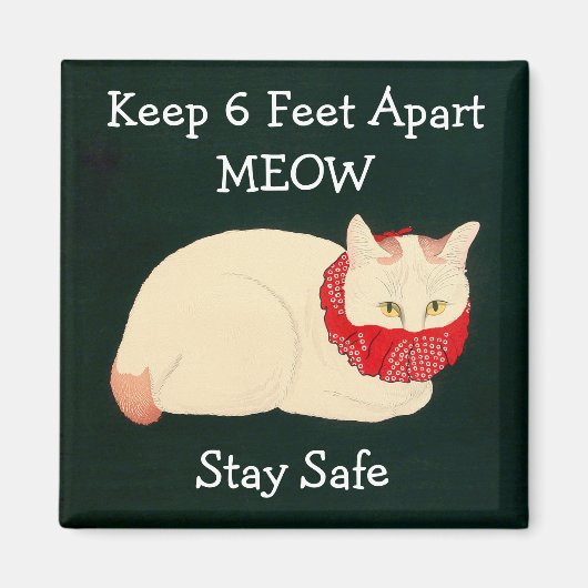 Katze Behaltend 6 Fuß Abstand Magnet (Vorne)