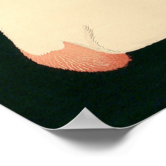 Katze Behaltend 6 Fuß Abstand Poster (Ecke)