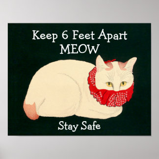 Katze Behaltend 6 Fuß Abstand Poster
