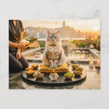 Katze bei Dachterrasse-Aromatherapie