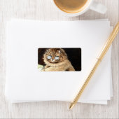 Katze bei der Arbeit mit Brillen von Louis Wain Adressaufkleber (Insitu)