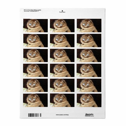 Katze bei der Arbeit mit Brillen von Louis Wain Adressaufkleber (Vorne)