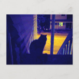 Katze bei Nacht auf der alten Nachbarschaftspostka Postkarte