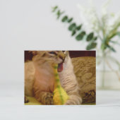 Katze bekommt Dinosaurier Postkarte (Stehend Vorderseite)