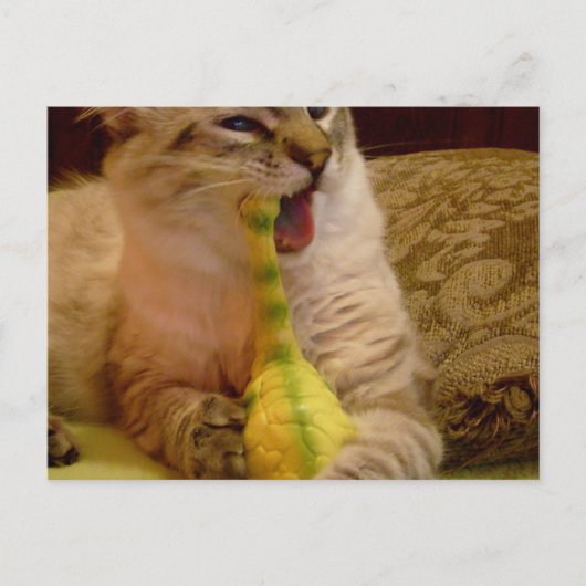 Katze bekommt Dinosaurier Postkarte (Vorderseite)