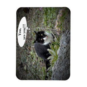 Katze Benutzerdefinierter Text Foto Magnet