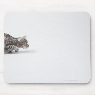 Katze bereit sich zu stürzen mousepad