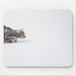 Katze bereit sich zu stürzen mousepad