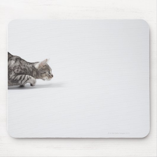 Katze bereit zum Ausstoßen Mousepad (Vorne)