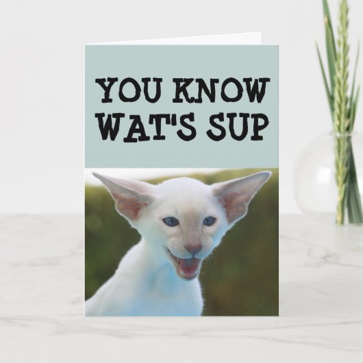 KATZE BIRTHDAY FUNNY CARD KARTE (Vorderseite)