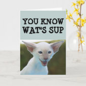 KATZE BIRTHDAY FUNNY CARD KARTE (Gelbe Blume)