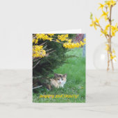 Katze, Bonbon einer, Geburtstag Karte (Gelbe Blume)